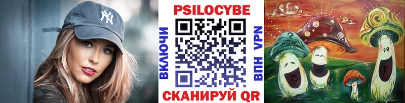 Псилоцибиновые грибы Psilocybe  Купить где  Тюмень 